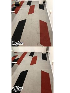 Office Carpet Cleaning